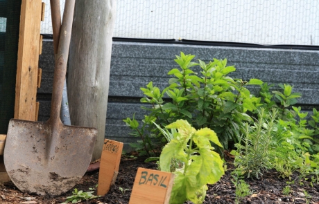 Retreat garden